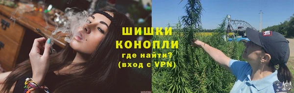 прущие крисы Вязьма